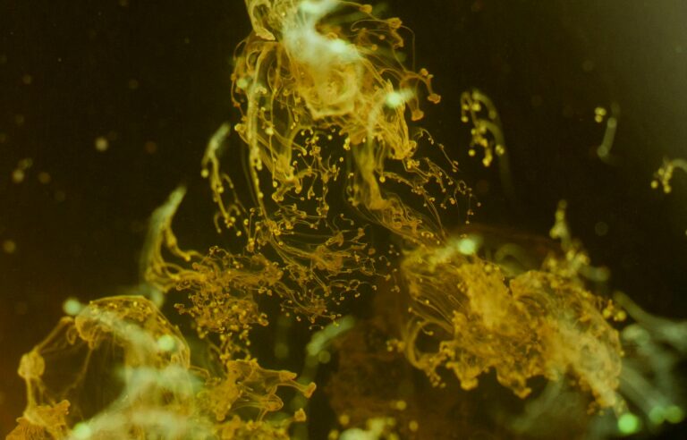 Close-up of swirling yellow paint creating an abstract fluid motion and texture pattern.