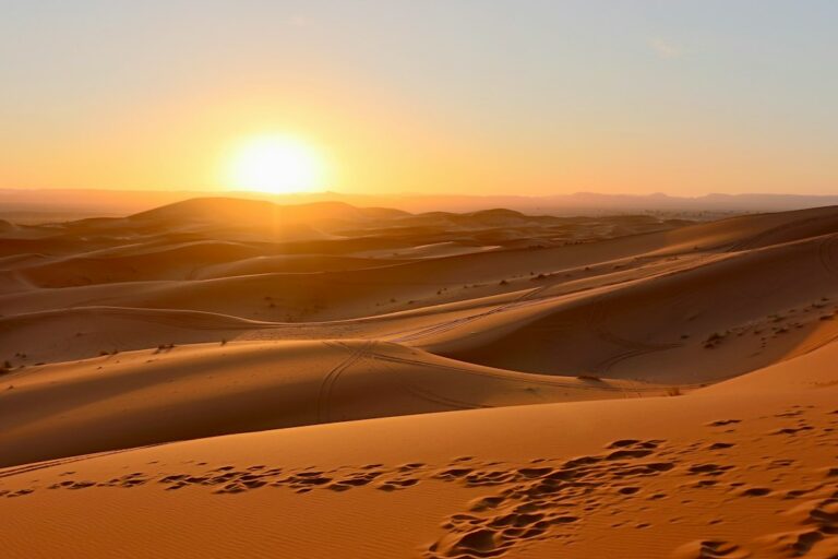 How to Use Kamino: Lend and Borrow on Solana